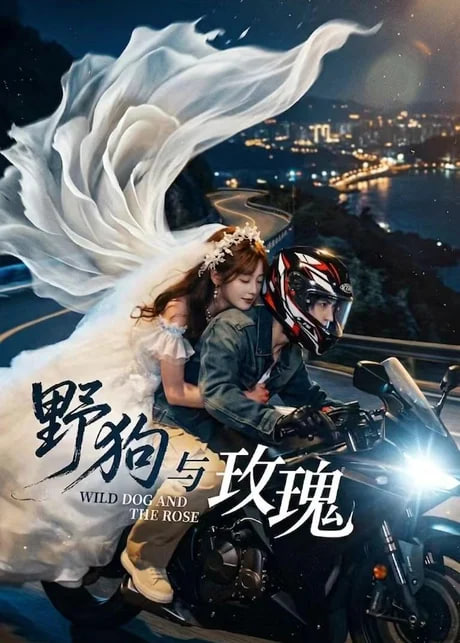 糖心vlog官方在线观看